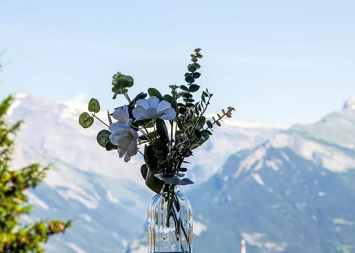 Hauts De A F3 By Interhome Appartement *