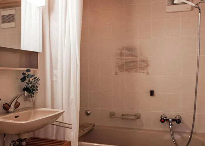 Hauts De A F3 By Interhome Appartement