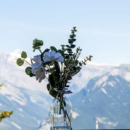 Hauts De A F3 By Interhome شقة *